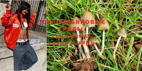 дмт Покров