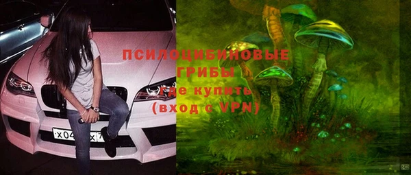 дмт Покров