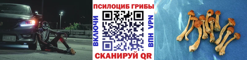 Галлюциногенные грибы Magic Shrooms  наркошоп  Торжок 