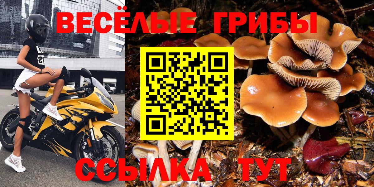 Галлюциногенные грибы ЛСД Торжок