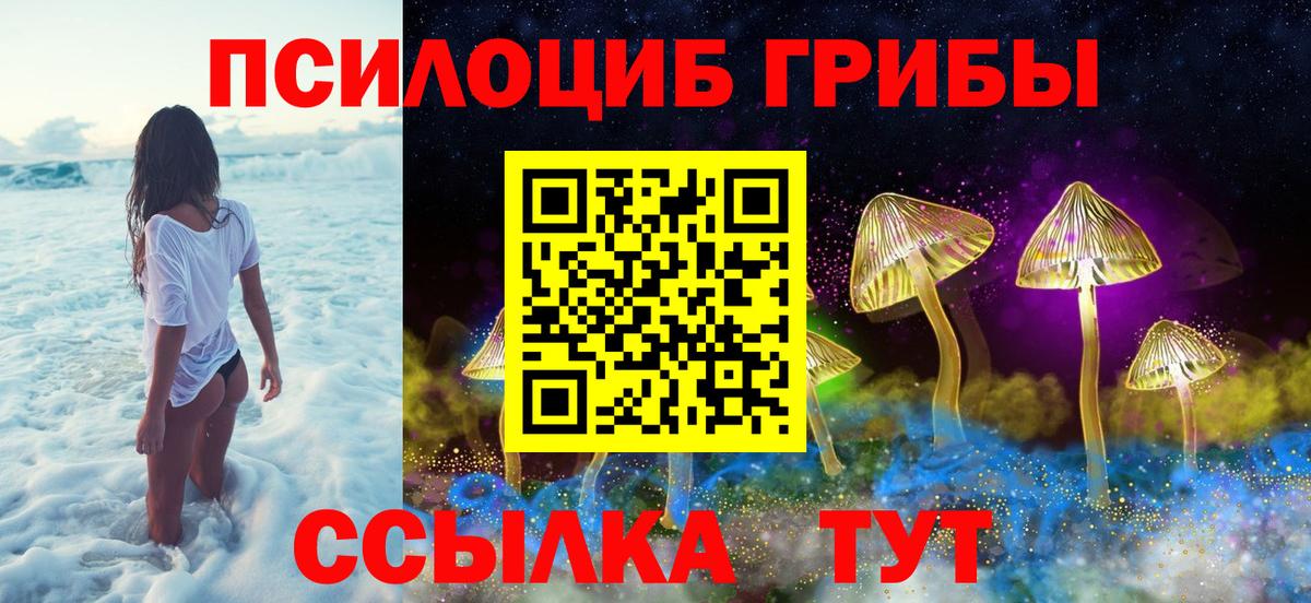 Торжок  Псилоцибиновые грибы MAGIC MUSHROOMS  хочу   Вход с VPN 