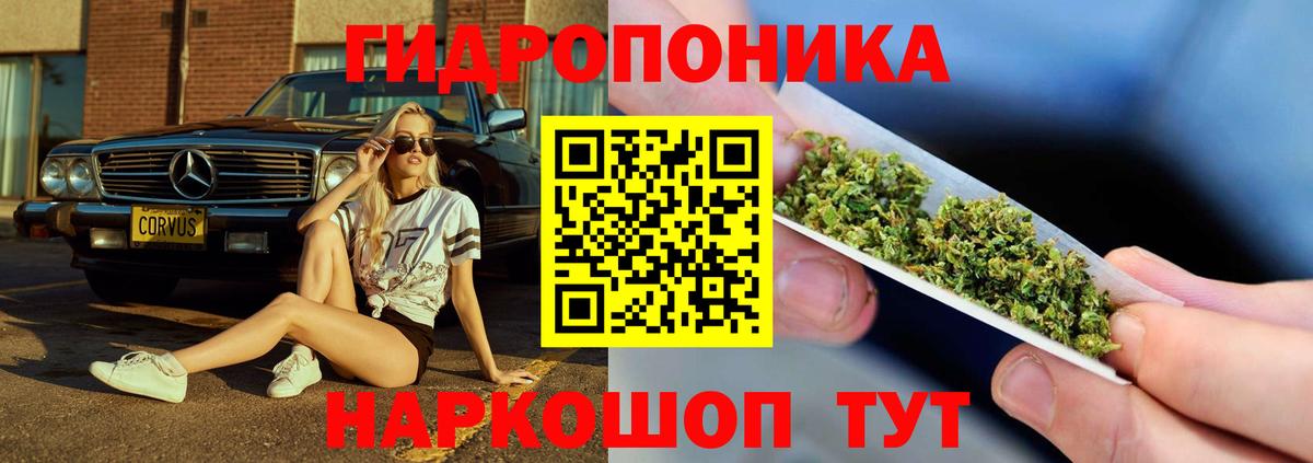 Торжок  Бошки марихуана сатива  Вход с VPN  Канабис SATIVA & INDICA 